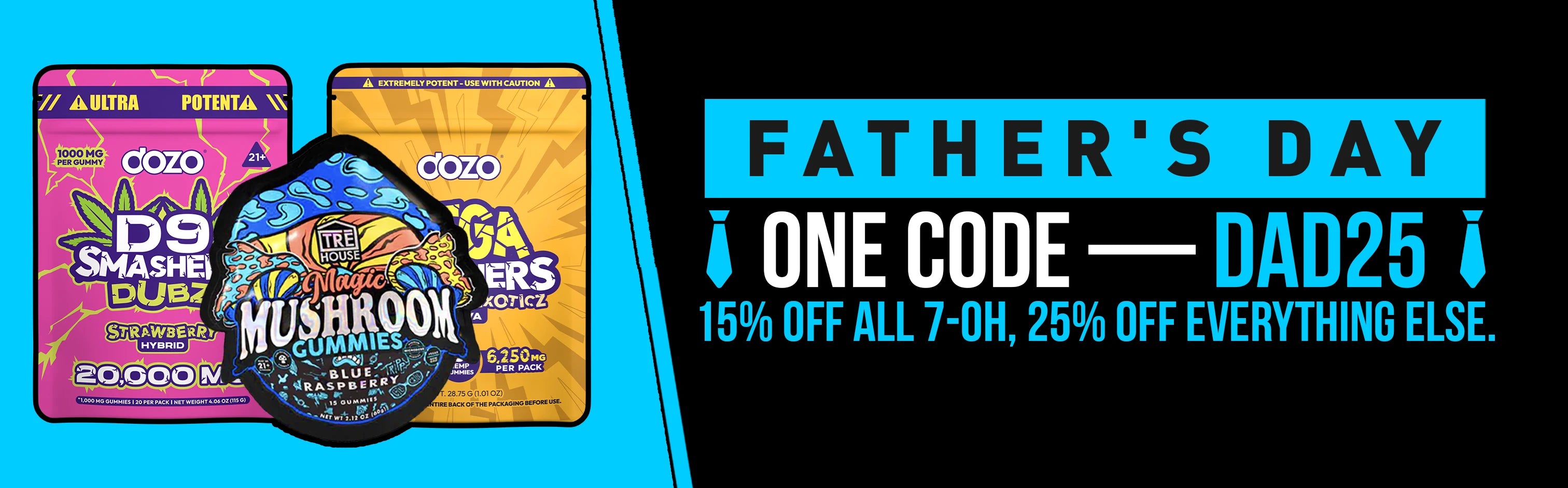 Father's Day Hippy House banner desktop